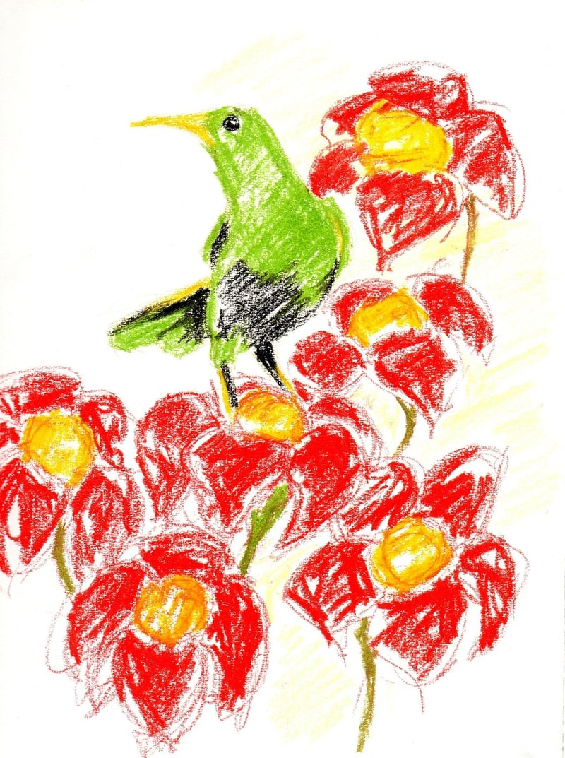 Flower Illustrations