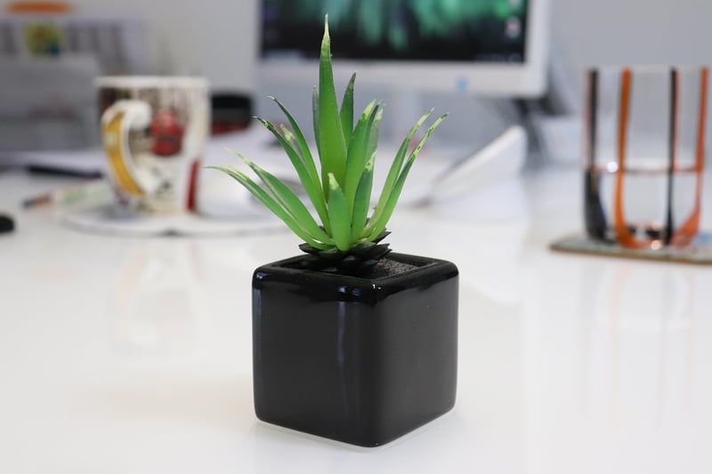Plant-Inspired Decor